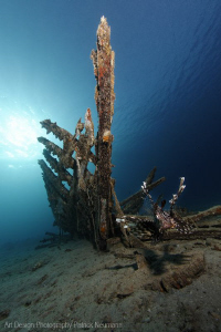 wreck with Lionfish by Patrick Neumann 